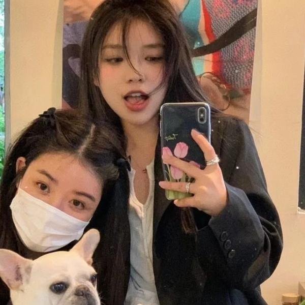 牧羊犬郁金香